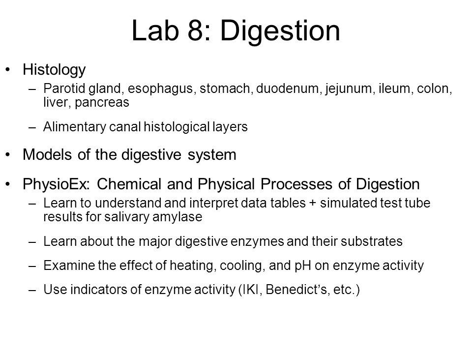 Exercise 8: Chemical and Physical Processes of Digestion